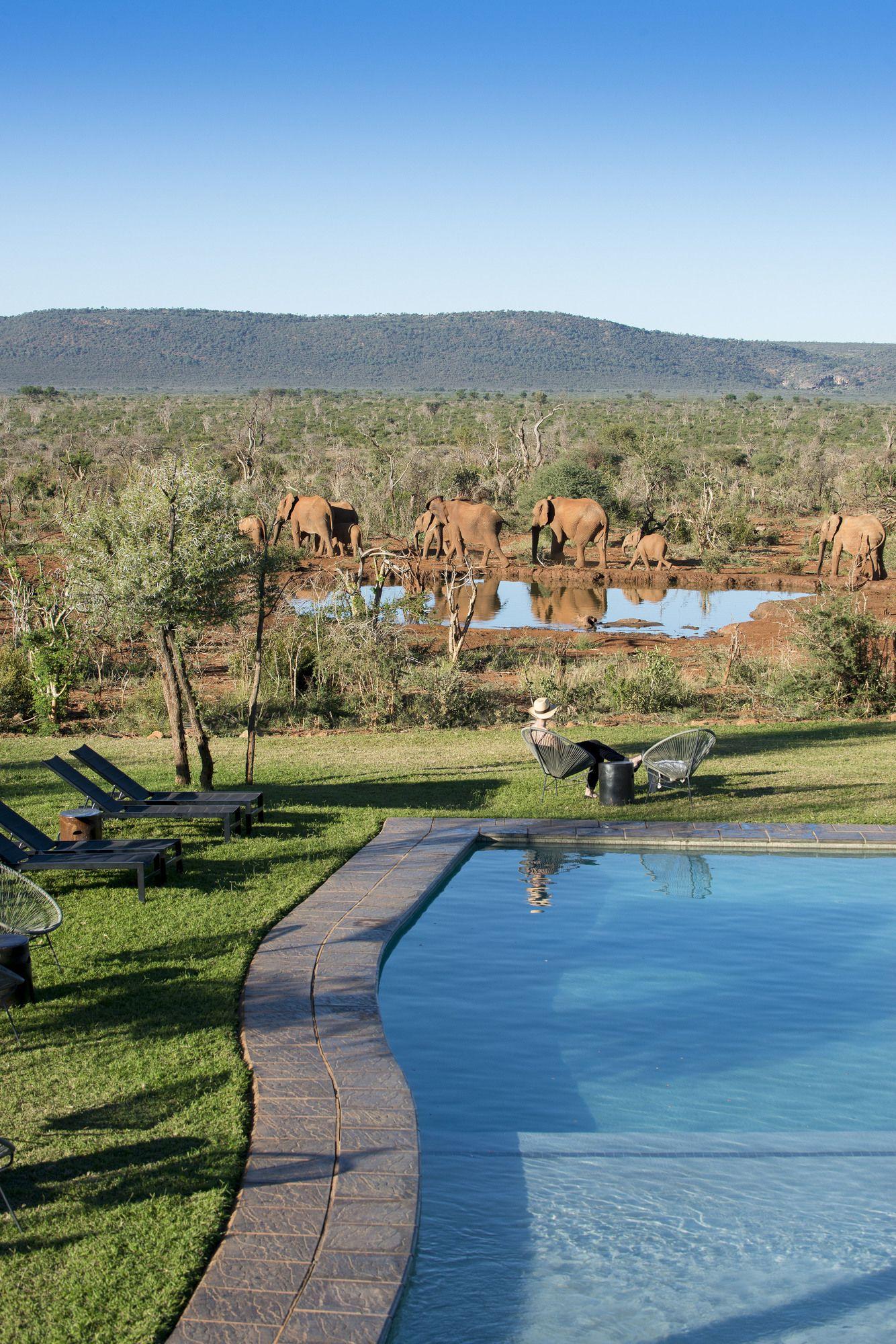 Madikwe Safari Lodge Madikwe Game Reserve Luaran gambar