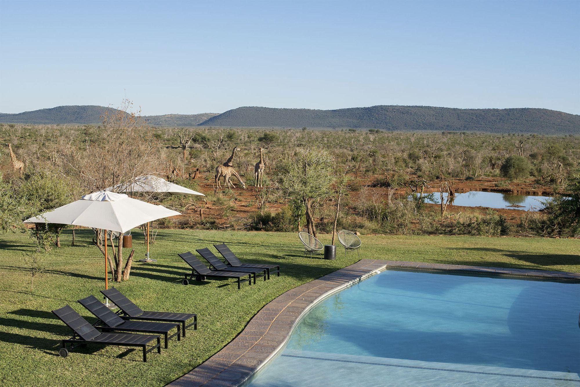 Madikwe Safari Lodge Madikwe Game Reserve Luaran gambar