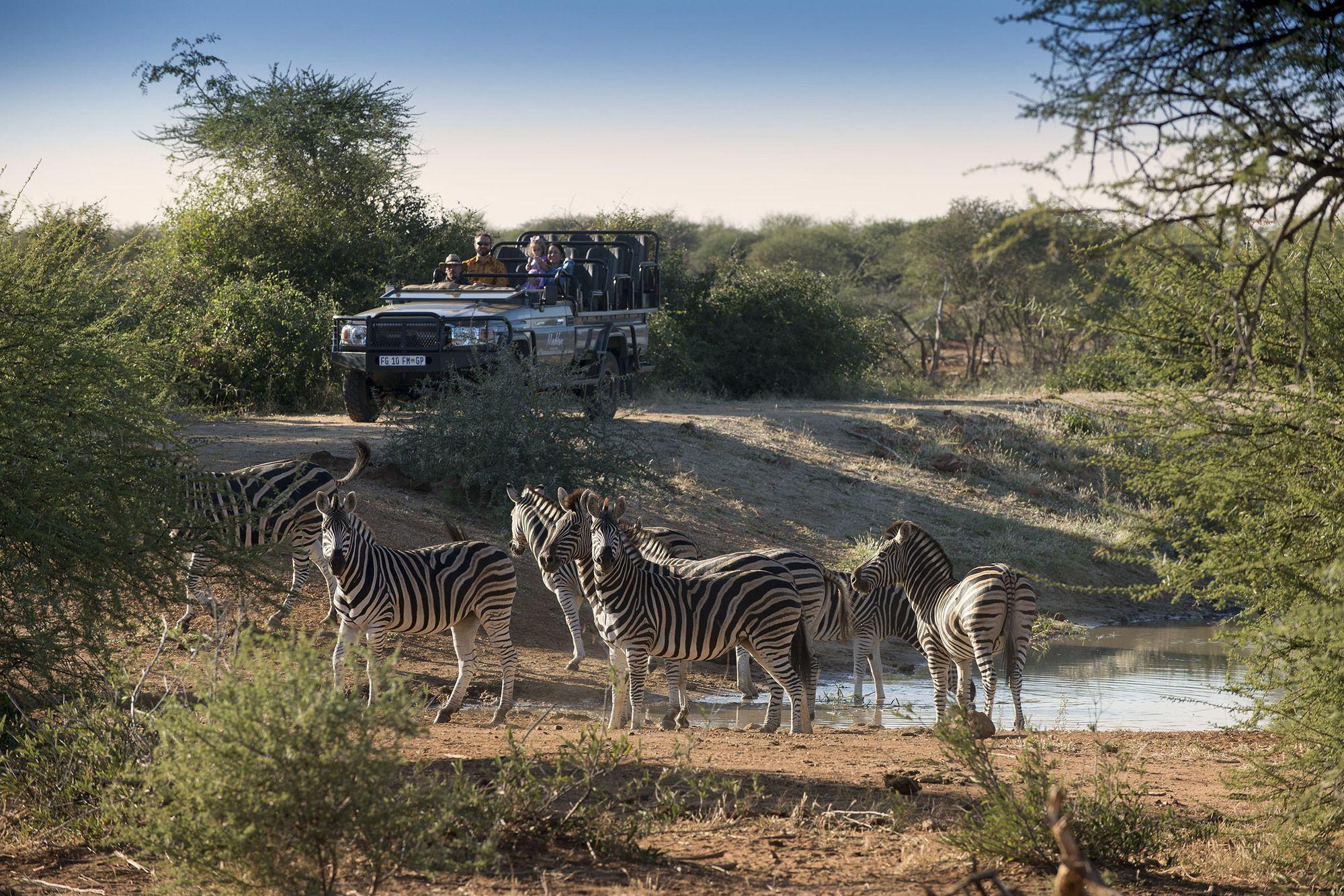 Madikwe Safari Lodge Madikwe Game Reserve Luaran gambar