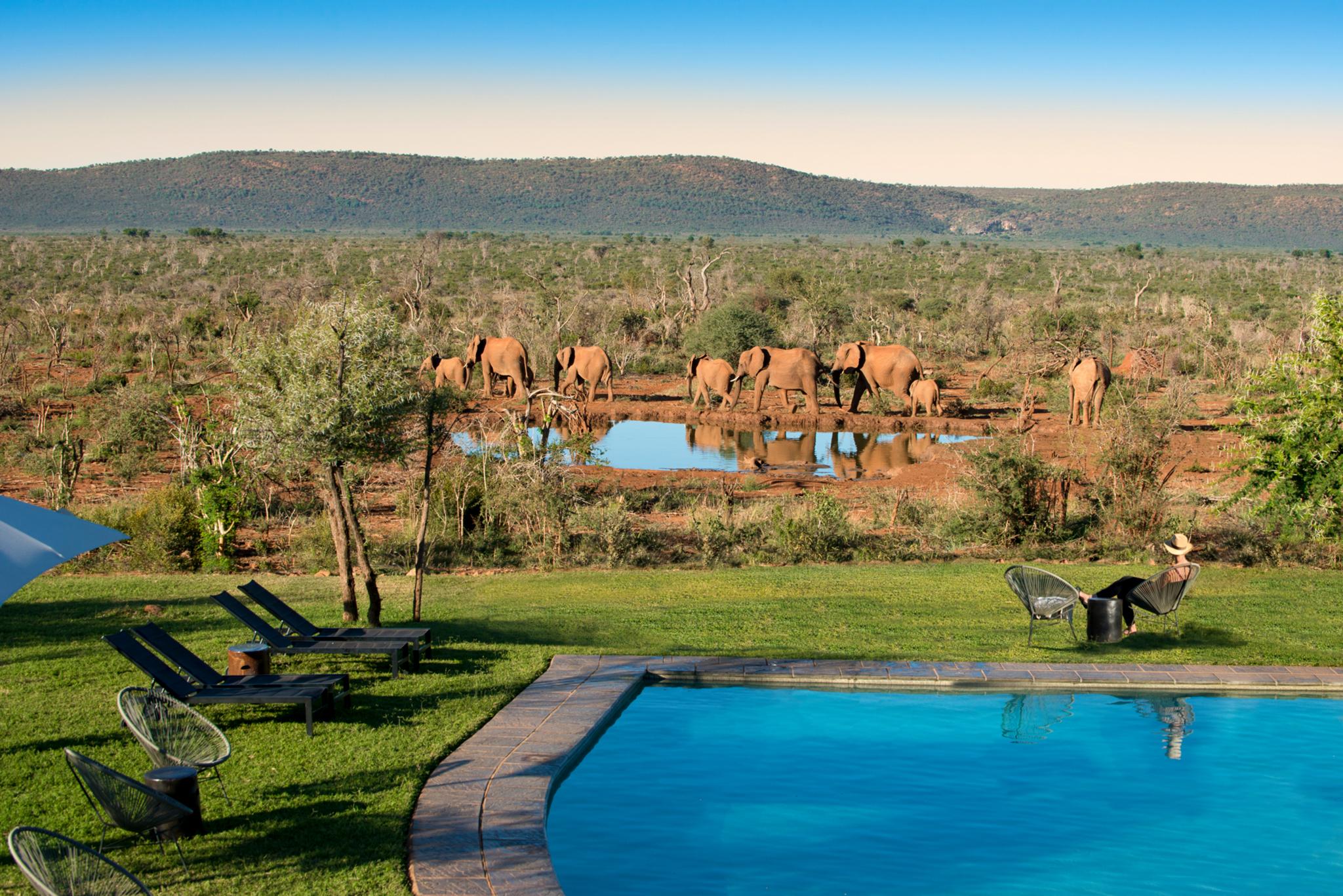 Madikwe Safari Lodge Madikwe Game Reserve Luaran gambar