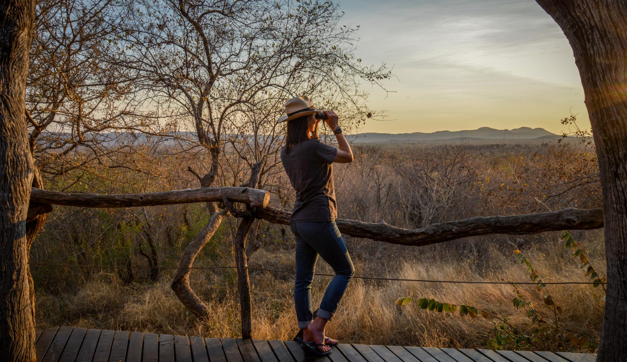 Madikwe Safari Lodge Madikwe Game Reserve Luaran gambar